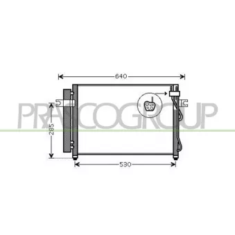 Condenseur, climatisation PRASCO HN330C003