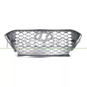 Grille de radiateur PRASCO HN4502011