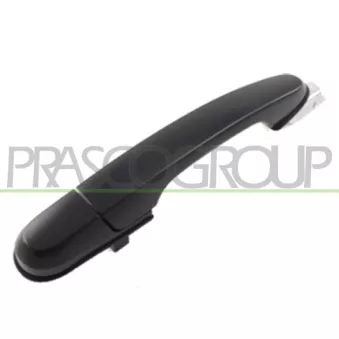 Poignée extérieure de porte arrière droit PRASCO HN8028103