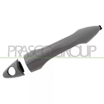 Poignée extérieure de porte avant gauche PRASCO HN8048004