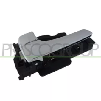 Poignet de porte, équipment intérieur avant gauche PRASCO HN8048606
