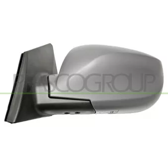 Rétroviseur extérieur PRASCO HN8057306P