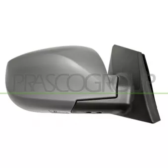 Rétroviseur extérieur PRASCO HN8057393P