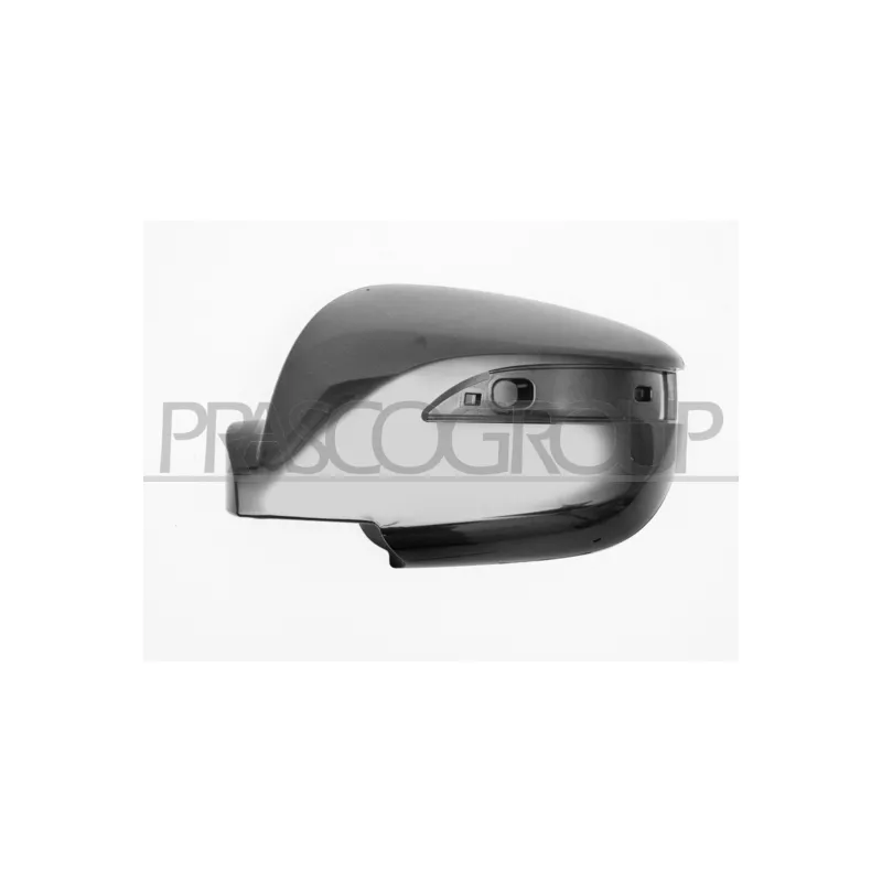 Revêtement, rétroviseur extérieur PRASCO HN8057404