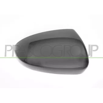 Revêtement, rétroviseur extérieur PRASCO HN8067403