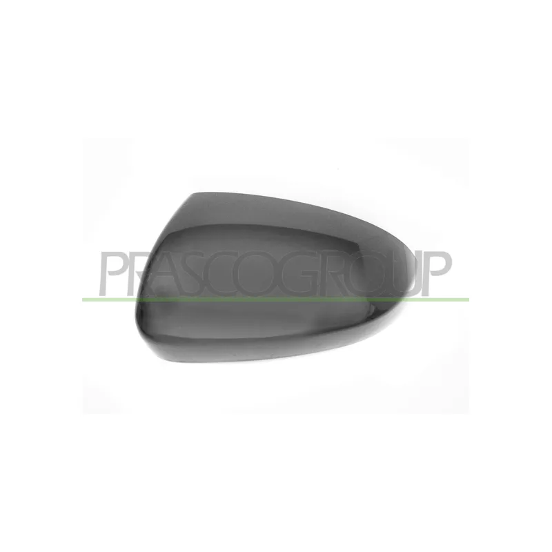 Revêtement, rétroviseur extérieur PRASCO HN8067404