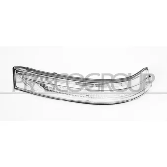 Feu clignotant PRASCO HN8067415