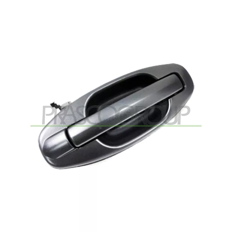 Poignée extérieure de porte arrière droit PRASCO HN8128101