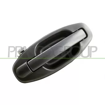 Poignée extérieure de porte arrière droit PRASCO HN8128103