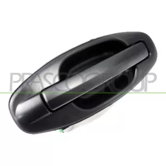 Poignée extérieure de porte arrière gauche PRASCO HN8128104