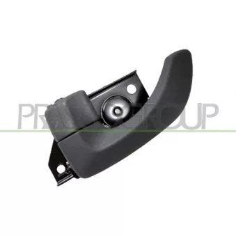 Poignet de porte, équipment intérieur arrière gauche PRASCO HN8128508