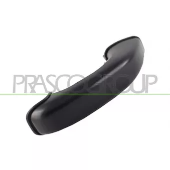 Poignée extérieure de porte PRASCO HN8148303