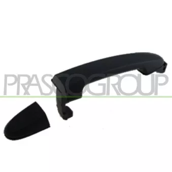 Poignée extérieure de porte arrière droit PRASCO HN8168113