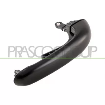 Poignée extérieure de porte PRASCO HN8168303