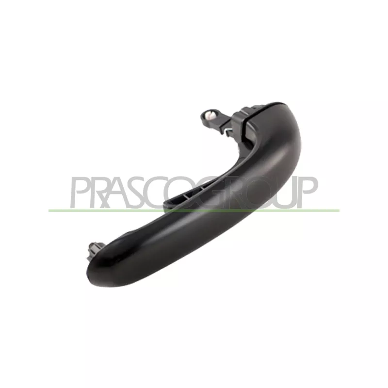 Poignée extérieure de porte PRASCO HN8168303