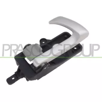 Poignet de porte, équipment intérieur avant droit PRASCO HN8168657