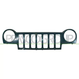 Grille de radiateur PRASCO JE0112305