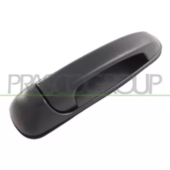 Poignée extérieure de porte arrière droit PRASCO JE0118107