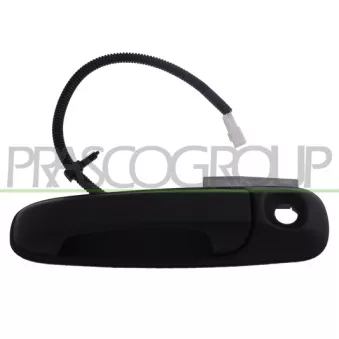 Poignée extérieure de porte PRASCO JE0118341