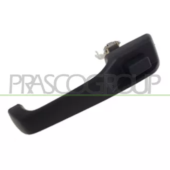 Poignée extérieure de porte arrière droit PRASCO JE0158101