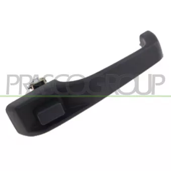 Poignée extérieure de porte arrière gauche PRASCO JE0158102