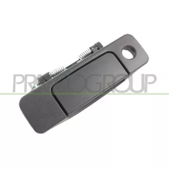 Poignée extérieure de porte PRASCO JE0158301