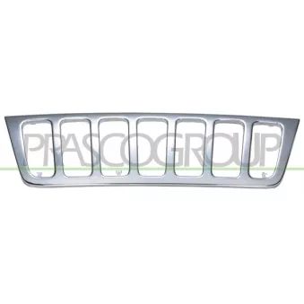 Grille de radiateur PRASCO JE0172001