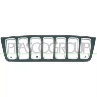 Grille de radiateur PRASCO JE0182001