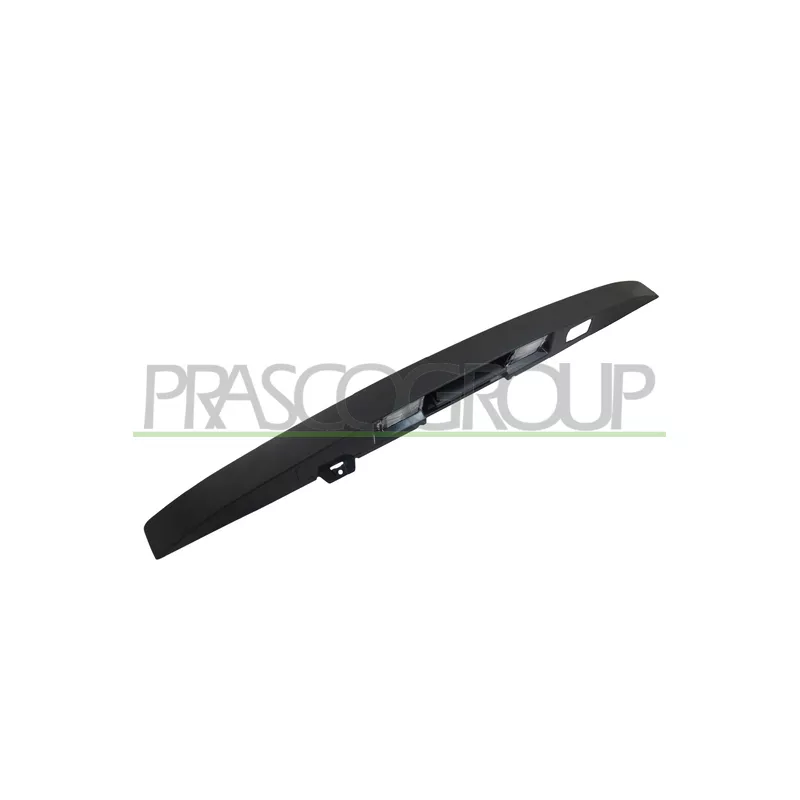 Poignée extérieure de porte PRASCO JE0208301