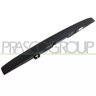 Poignée extérieure de porte PRASCO JE0208303