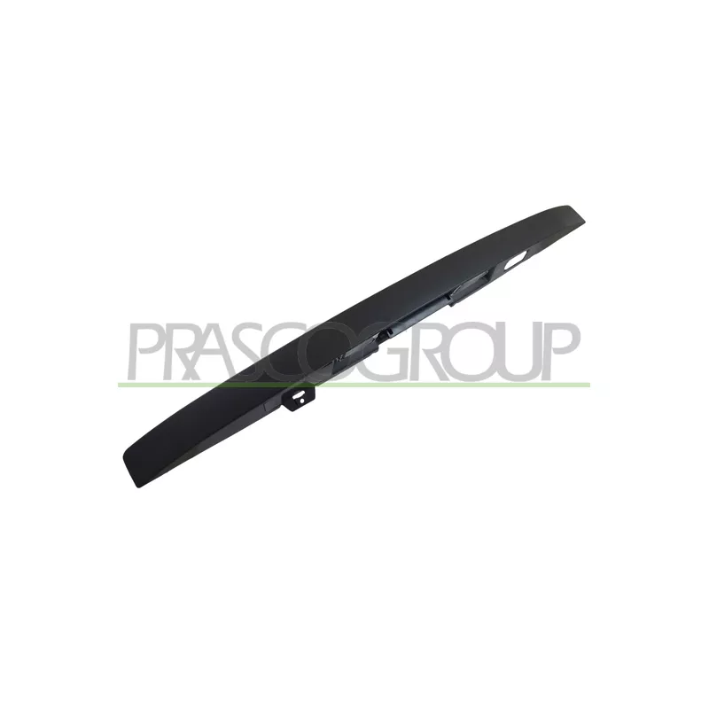 Poignée extérieure de porte PRASCO JE0208303