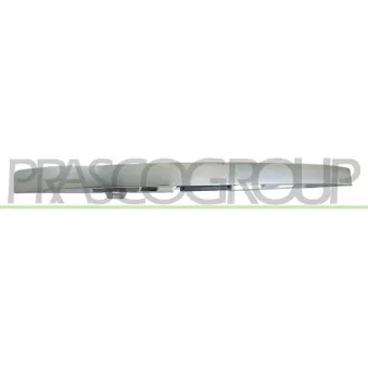 Poignée extérieure de porte PRASCO JE0208305