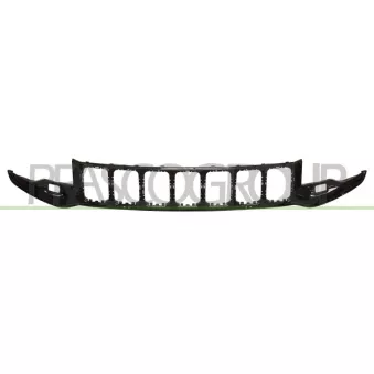 Grille de radiateur PRASCO