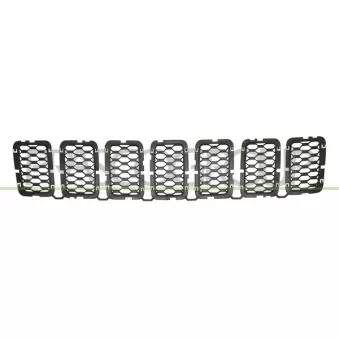Grille de radiateur PRASCO JE0262206