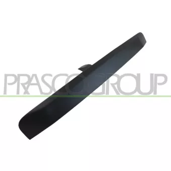 Poignée extérieure de porte PRASCO JE0308303