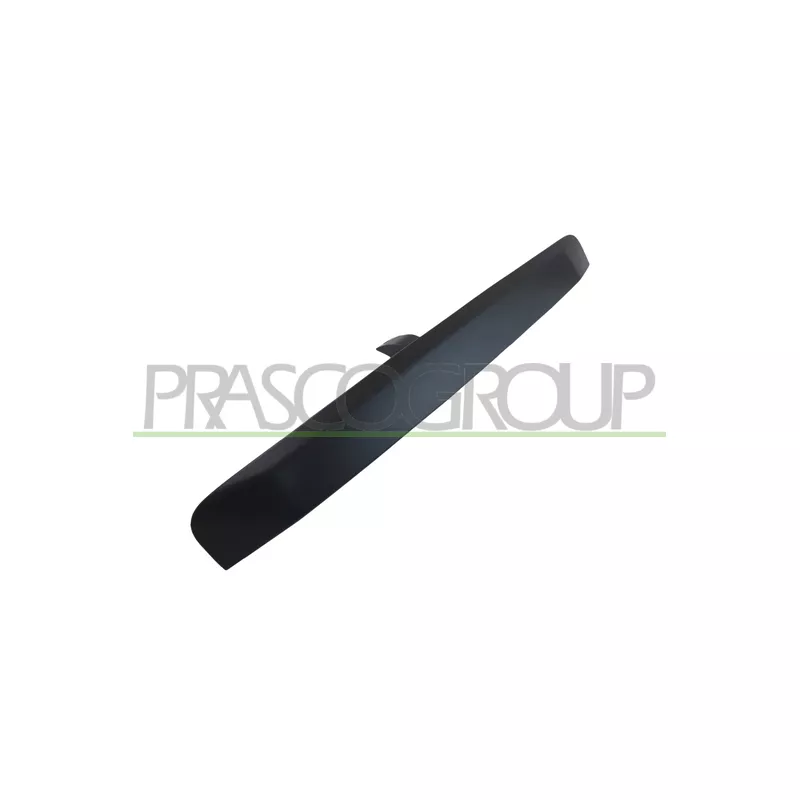 Poignée extérieure de porte PRASCO JE0308303