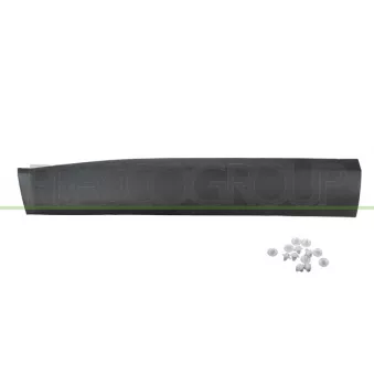 Baguette et bande protectrice, porte avant gauche PRASCO JE1001404