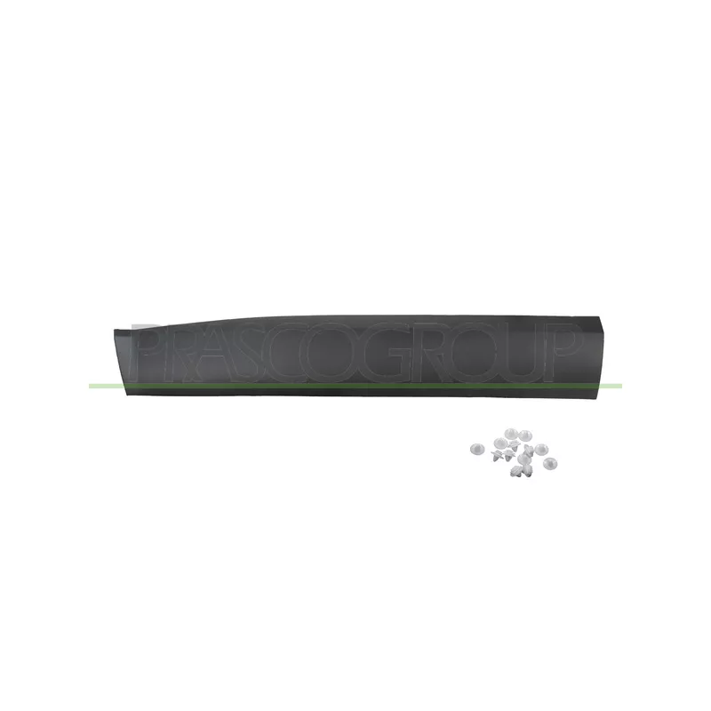 Baguette et bande protectrice, porte avant gauche PRASCO JE1001404