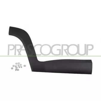 Baguette et bande protectrice, porte arrière droit PRASCO JE1001453