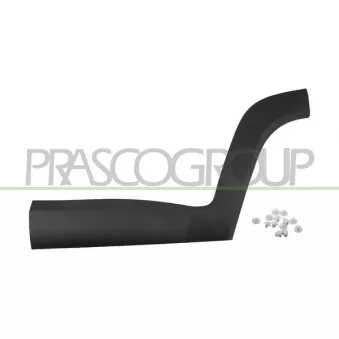Baguette et bande protectrice, porte arrière gauche PRASCO JE1001454