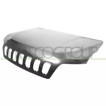 Capot-moteur PRASCO JE2023110