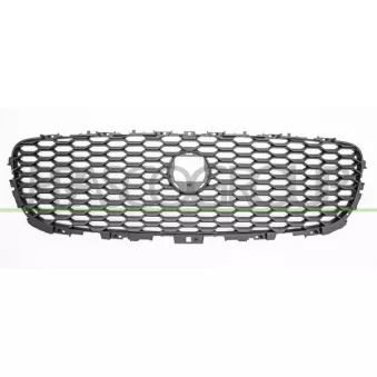 Grille de radiateur PRASCO