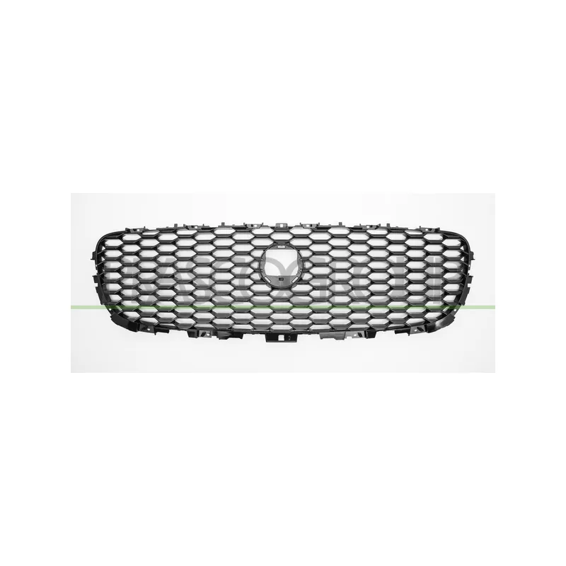 Grille de radiateur PRASCO JG7502021