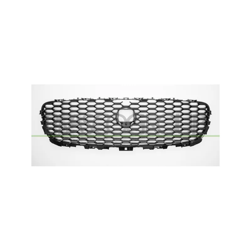 Grille de radiateur PRASCO JG7502031