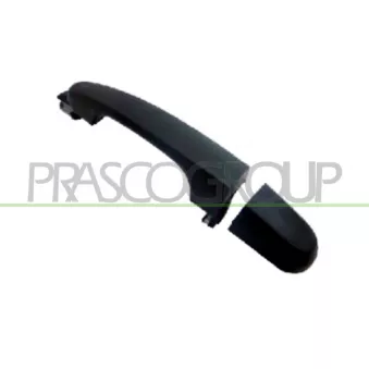 Poignée extérieure de porte arrière droit PRASCO KI0228101