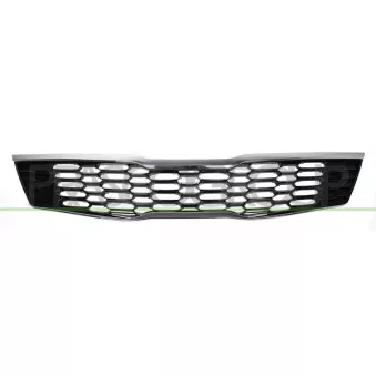 Grille de radiateur PRASCO KI0622001