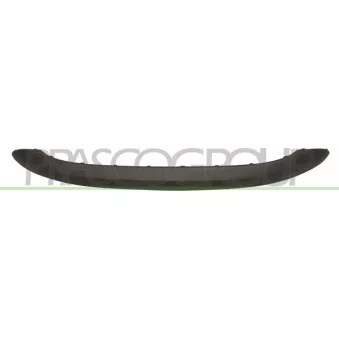 Baguette et bande protectrice, pare-chocs PRASCO LA0021255