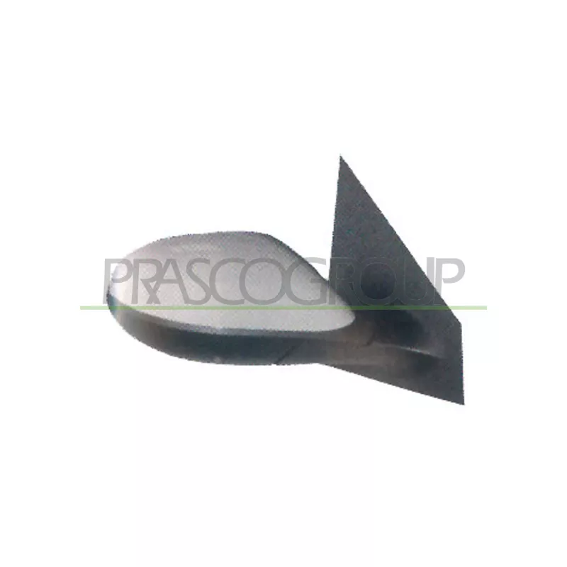 Rétroviseur extérieur PRASCO LA0027123