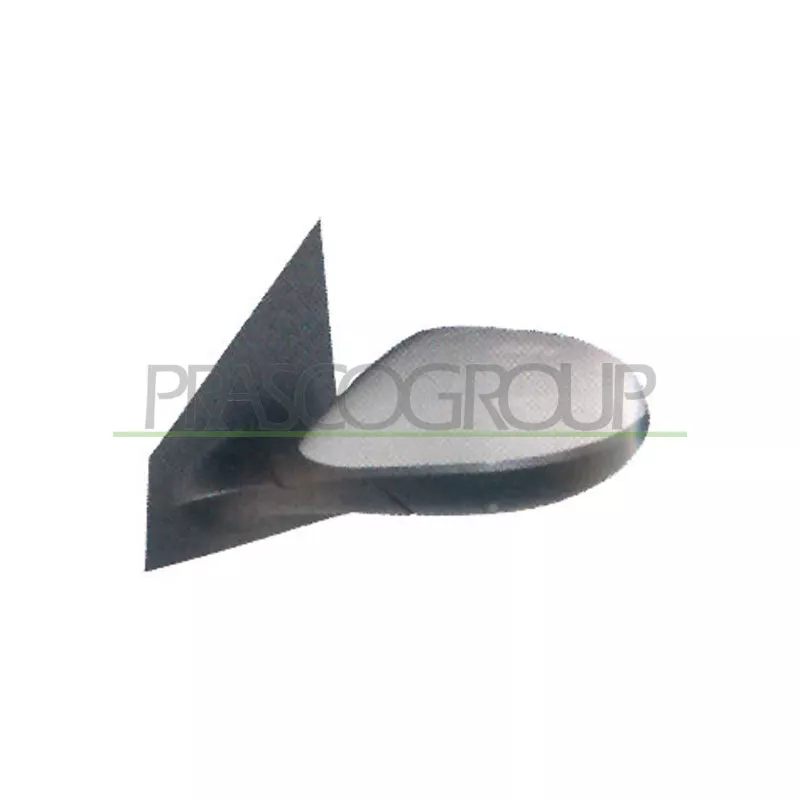 Rétroviseur extérieur PRASCO LA0027124