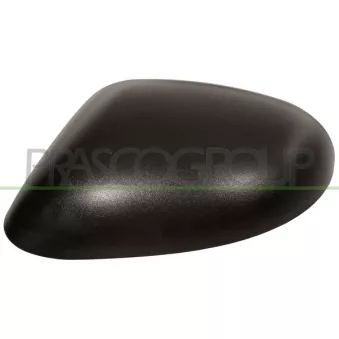 Revêtement, rétroviseur extérieur PRASCO LA0027404